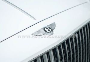Xe Bentley Flying Spur First Edition W12 2022