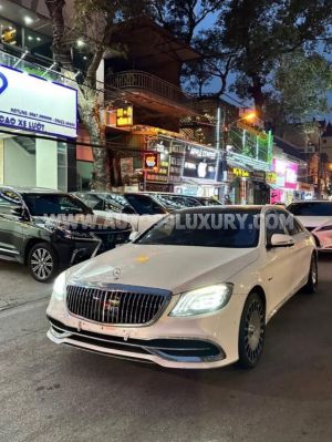 Xe Mercedes Benz S class S400L 2016