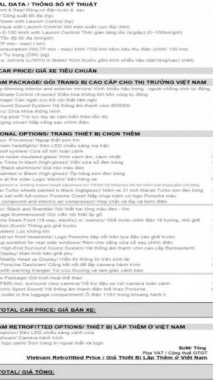 Xe Porsche Macan 4 EV 2024