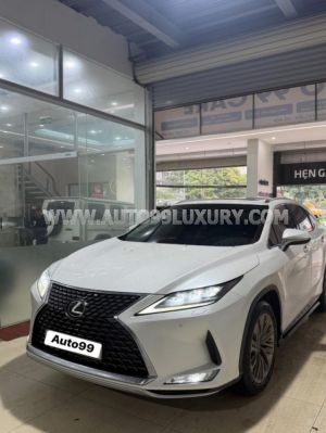 Xe Lexus RX 300 2021