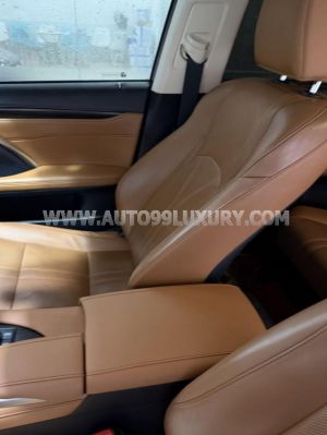 Xe Lexus RX 300 2021