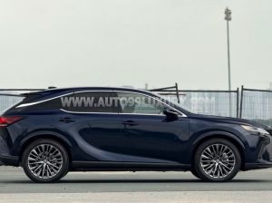 Xe Lexus RX 350h Luxury 2026