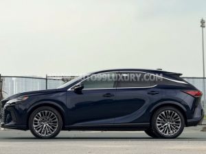 Xe Lexus RX 350h Luxury 2026