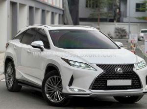 Xe Lexus RX 300 2021