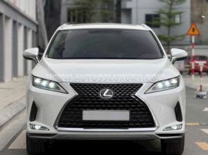 Xe Lexus RX 300 2021