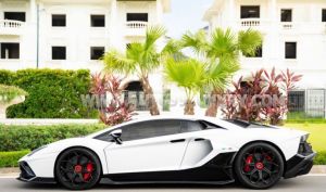 Xe Lamborghini Aventador LP 700-4 2015